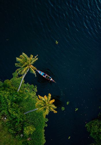 Alappuža, Kerala, India, palm trees, water, transport Wallpaper 1640x2360