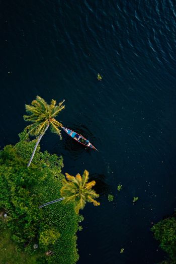 Alappuža, Kerala, India, palm trees, water, transport Wallpaper 640x960