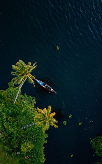 Alappuža, Kerala, India, palm trees, water, transport Wallpaper 1600x2560