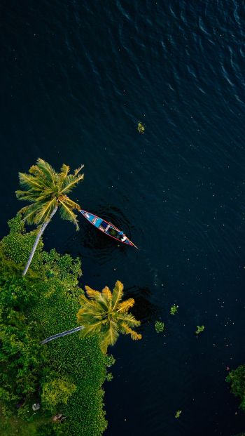 Alappuža, Kerala, India, palm trees, water, transport Wallpaper 640x1136