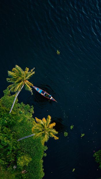 Alappuža, Kerala, India, palm trees, water, transport Wallpaper 1440x2560
