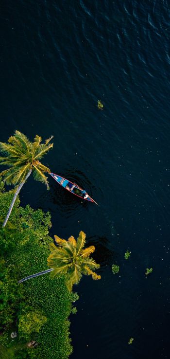 Alappuža, Kerala, India, palm trees, water, transport Wallpaper 1080x2280
