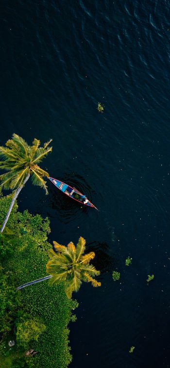 Alappuža, Kerala, India, palm trees, water, transport Wallpaper 1080x2340