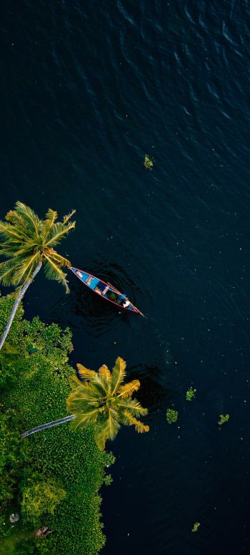 Alappuža, Kerala, India, palm trees, water, transport Wallpaper 1080x2400