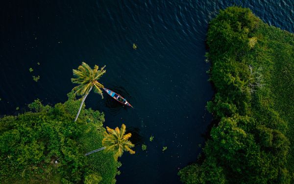 Alappuža, Kerala, India, palm trees, water, transport Wallpaper 2560x1600