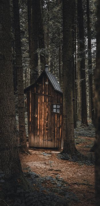 Ukraine, wild forest, small house Wallpaper 1440x2960