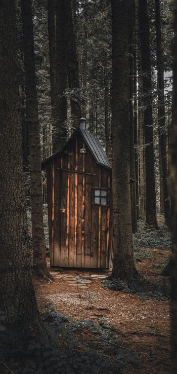 Ukraine, wild forest, small house Wallpaper 1440x3040