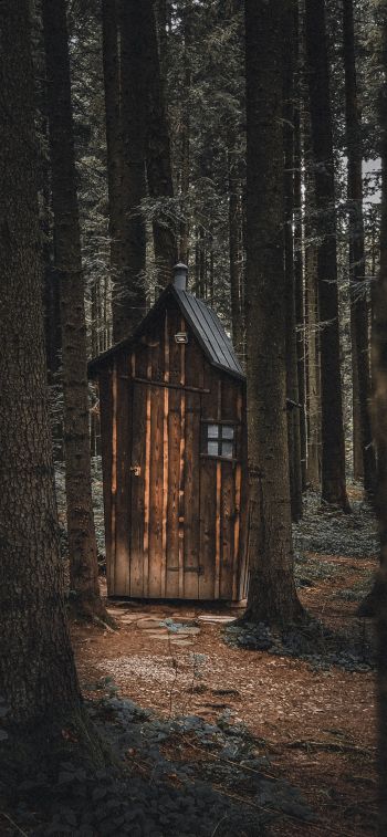 Ukraine, wild forest, small house Wallpaper 828x1792