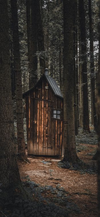 Ukraine, wild forest, small house Wallpaper 1080x2340