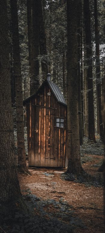 Ukraine, wild forest, small house Wallpaper 1080x2400