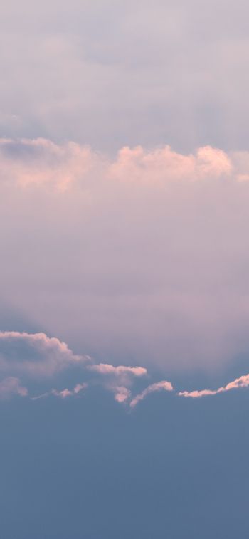 clouds, above the clouds, pink Wallpaper 1170x2532