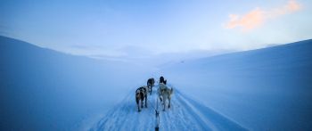 Svalbard, Svalbard and Jan Mayen, winter Wallpaper 2560x1080