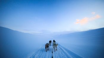 Svalbard, Svalbard and Jan Mayen, winter Wallpaper 2560x1440