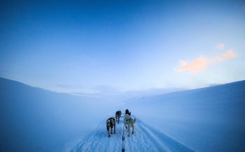 Svalbard, Svalbard and Jan Mayen, winter Wallpaper 2560x1600
