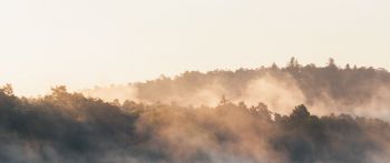 France, forest, fog Wallpaper 2560x1080