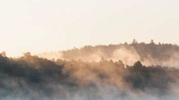 France, forest, fog Wallpaper 1280x720