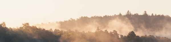 France, forest, fog Wallpaper 1590x400