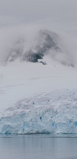 Antarctica, glaciers, sea Wallpaper 1440x2960