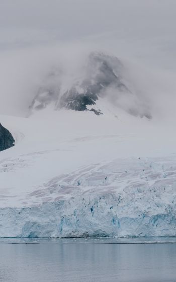 Обои 800x1280 Антарктида, ледники, море