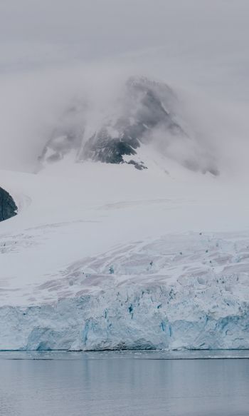 Antarctica, glaciers, sea Wallpaper 1200x2000