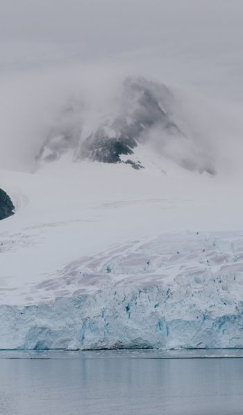 Antarctica, glaciers, sea Wallpaper 600x1024
