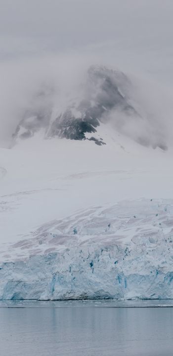 Antarctica, glaciers, sea Wallpaper 1080x2220