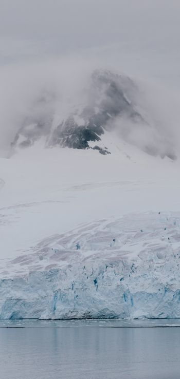 Antarctica, glaciers, sea Wallpaper 720x1520