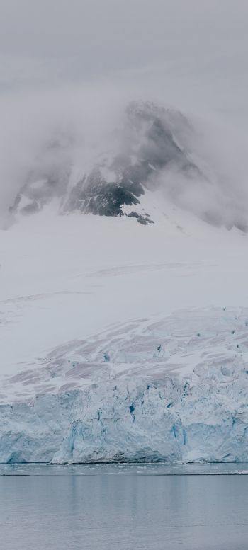 Antarctica, glaciers, sea Wallpaper 1440x3200