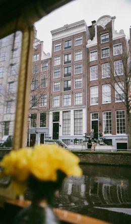 Обои 600x1024 Амстердам, Нидерланды, здания