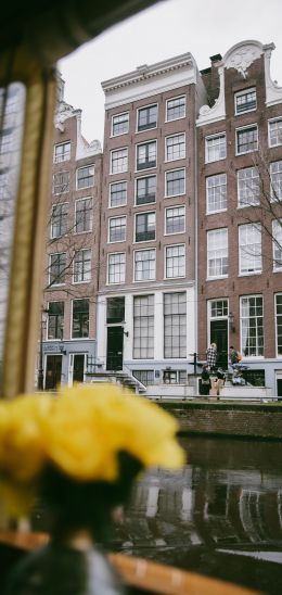 Обои 1080x2280 Амстердам, Нидерланды, здания
