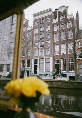 Amsterdam, The Netherlands, buildings Wallpaper 1668x2388