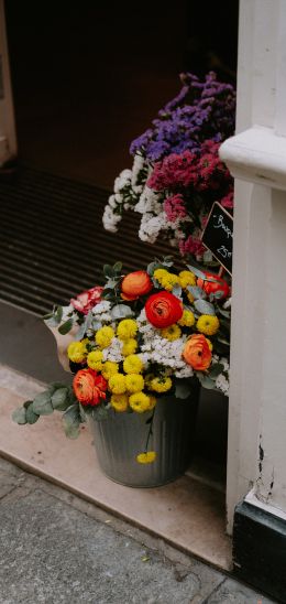 Обои 1440x3040 Париж, Франция, цветы, ваза