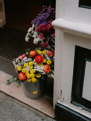 Обои 1668x2224 Париж, Франция, цветы, ваза