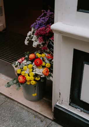 Paris, France, flowers, vase Wallpaper 1668x2388