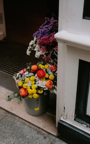 Paris, France, flowers, vase Wallpaper 1752x2800