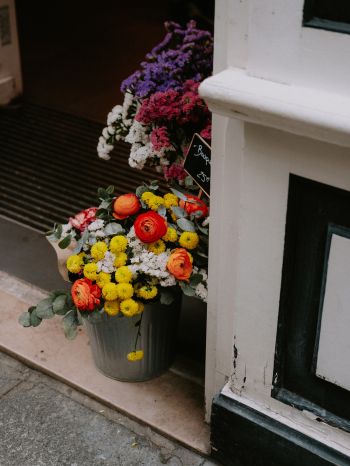 Обои 1620x2160 Париж, Франция, цветы, ваза