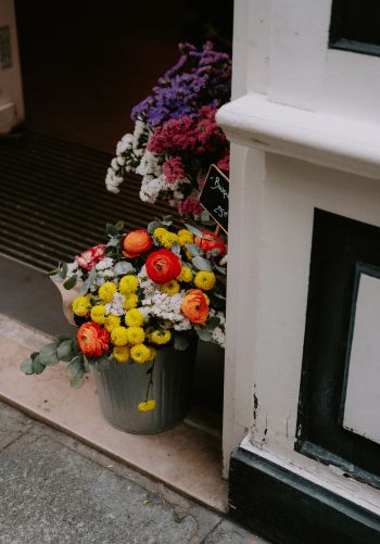 Обои 1668x2388 Париж, Франция, цветы, ваза