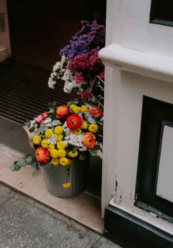 Paris, France, flowers, vase Wallpaper 1640x2360