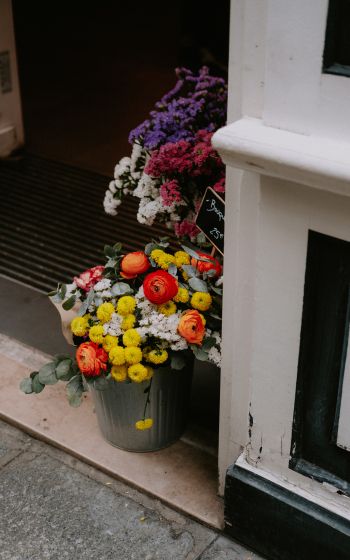 Paris, France, flowers, vase Wallpaper 1200x1920