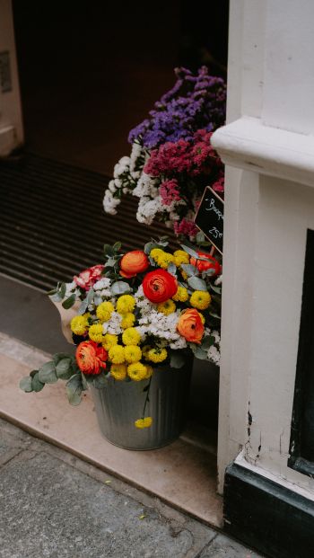 Обои 640x1136 Париж, Франция, цветы, ваза