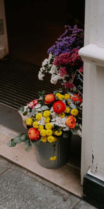 Обои 720x1440 Париж, Франция, цветы, ваза