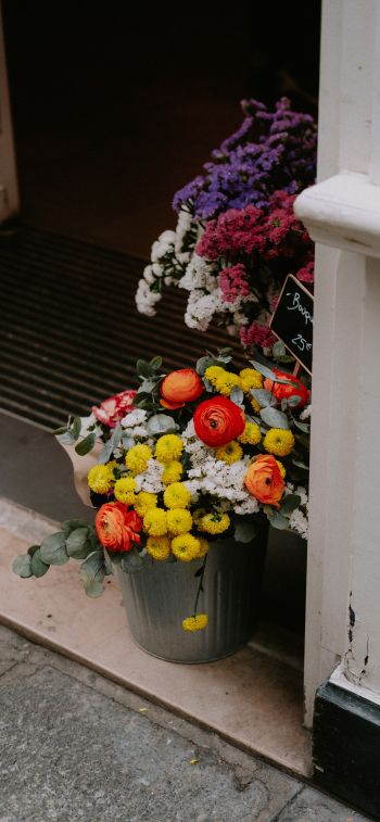 Paris, France, flowers, vase Wallpaper 1284x2778