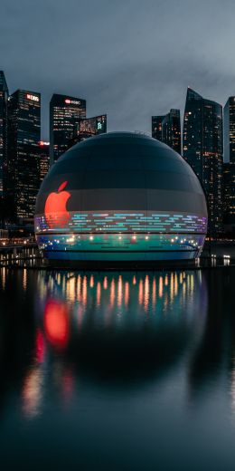 Apple, dome, city Wallpaper 720x1440