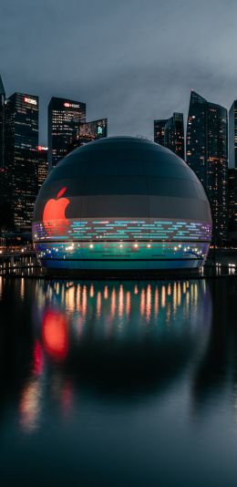 Apple, dome, city Wallpaper 1080x2220