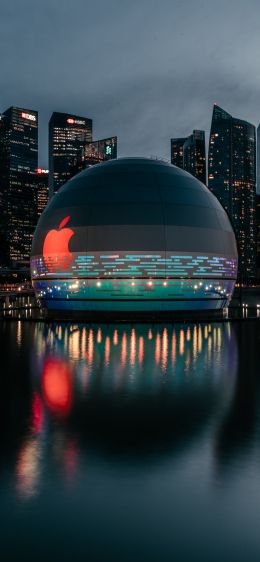 Apple, dome, city Wallpaper 1125x2436