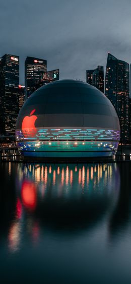 Apple, dome, city Wallpaper 1080x2340