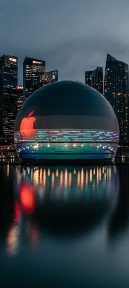 Apple, dome, city Wallpaper 720x1600
