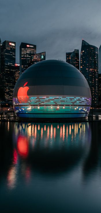 Apple, dome, city Wallpaper 720x1520