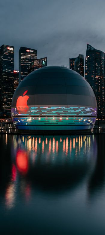 Apple, dome, city Wallpaper 1080x2400