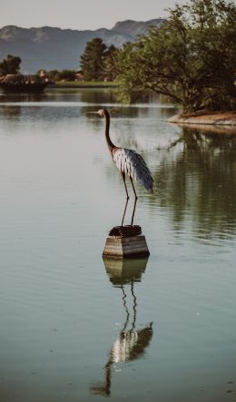 Fountain Hills, Arizona, USA, crane, heron Wallpaper 600x1024